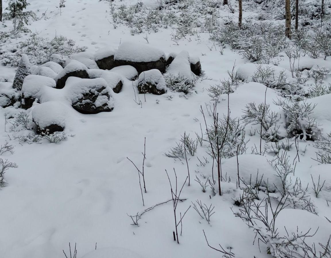 Appartamento Pinjakoti Lahti Esterno foto