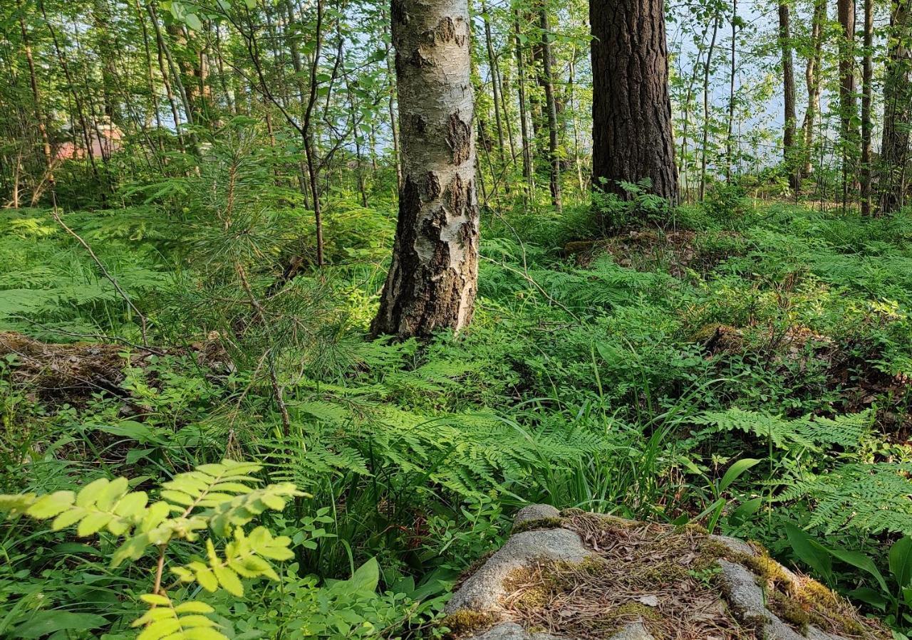 Appartamento Pinjakoti Lahti Esterno foto