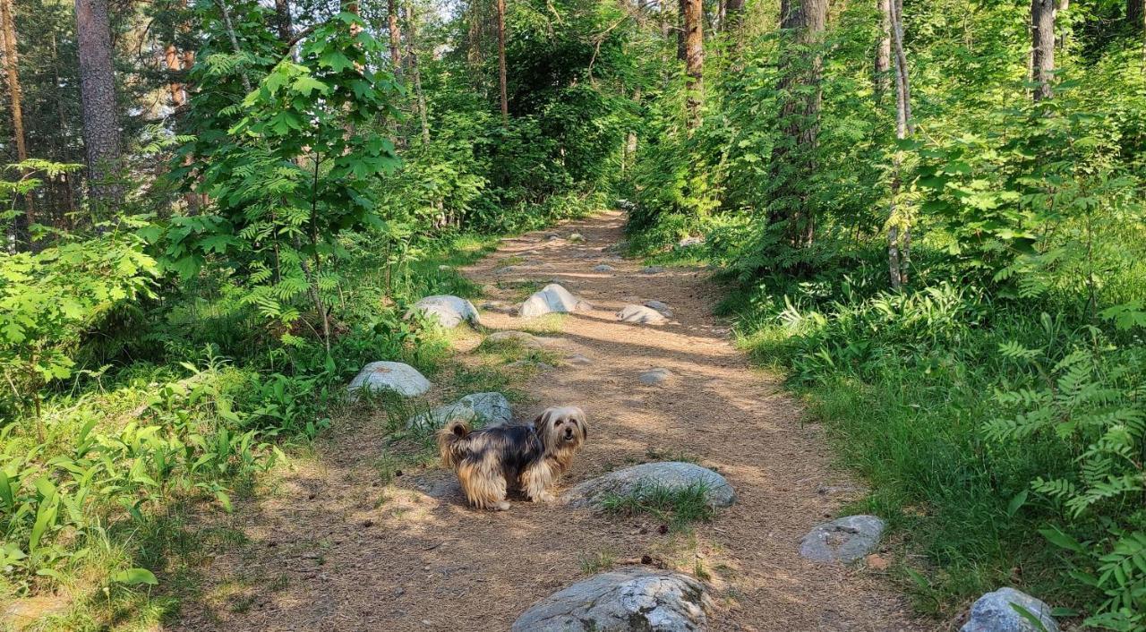 Appartamento Pinjakoti Lahti Esterno foto